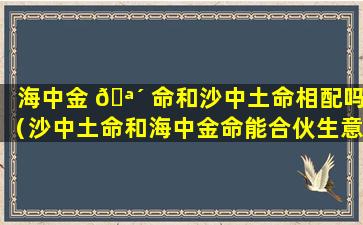 海中金 🪴 命和沙中土命相配吗（沙中土命和海中金命能合伙生意吗）